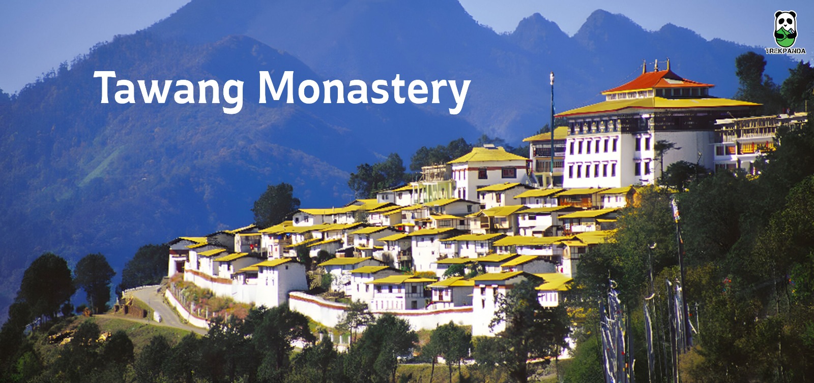 Tawang Monastery.jpeg